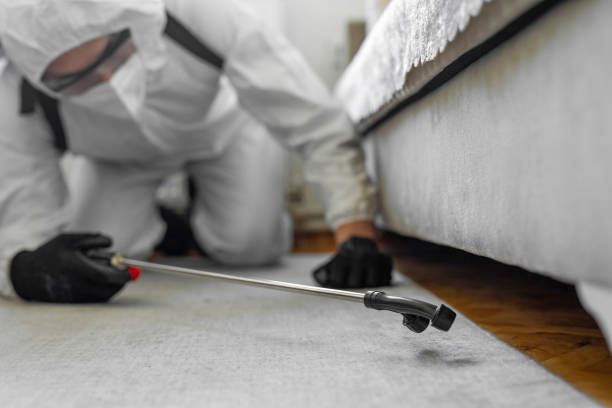 Professional Emergency Pest Control technician working in Green Island, NY