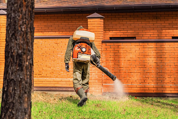 Trusted Emergency Pest Control service in Green Island, NY - Nex Pest Control